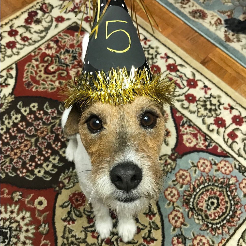 Meet your Posher, Anya